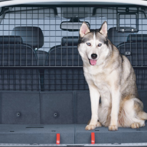 Razširitev raztegljivega prtljažnika